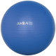Amila Μπάλα Γυμναστικής Gymball 45cm